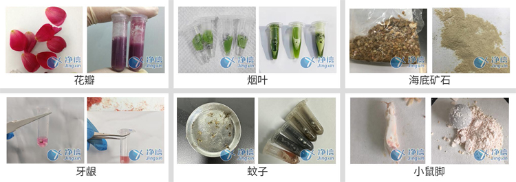 JXFSTPRP-CLN-DT凍臺冷凍研磨儀-研磨案例.jpg