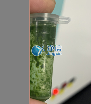 冷凍研磨儀在對(duì)甘蔗葉片提取DNA實(shí)驗(yàn)中研磨樣本效果如何？