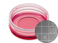 易必迪ibidi 細胞定位格子培養(yǎng)皿μ-Dish 35 mm high， glass bottom Grid-500